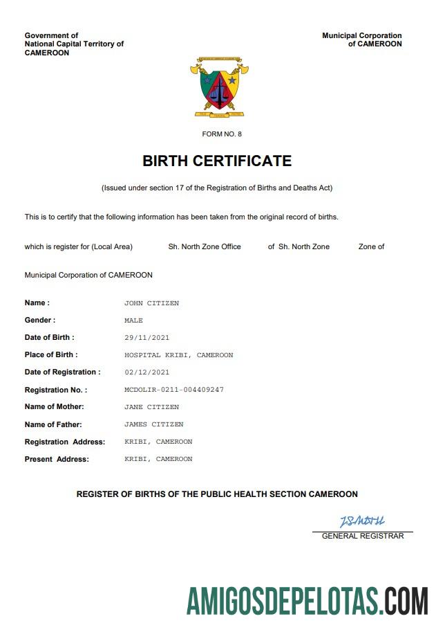 Realista modelo Word e PDF de certidão de nascimento de registro vital de Camarões